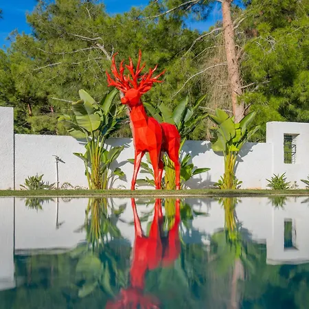 Villa Dinyeper Oludeniz